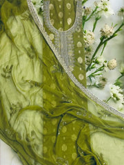 Graceful Banarasi Silk Embroidered Suit with Golden Detailing-Green